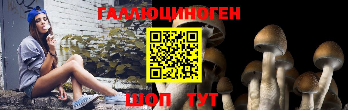 Туапсе  Псилоцибиновые грибы GOLDEN TEACHER  Вход с VPN 